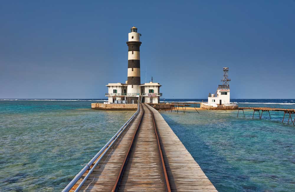 Diving Activities with Daedalus Liveaboard in Red Sea Egypt