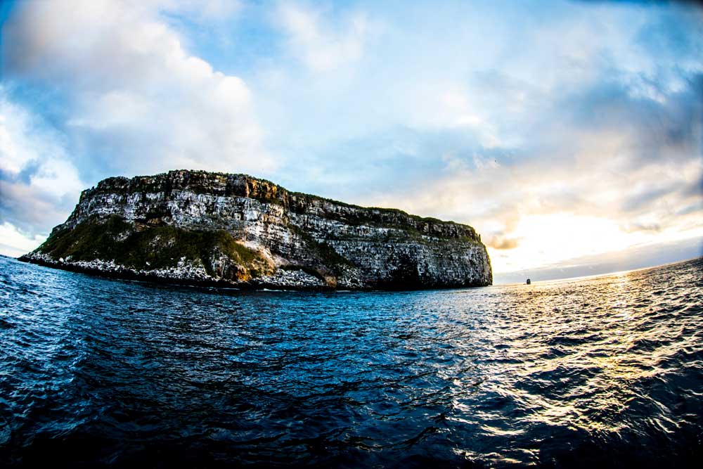 darwin island liveaboard in galapagos