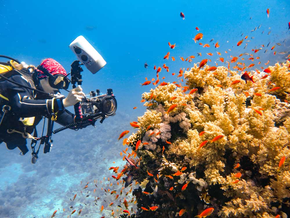 egypt liveaboard