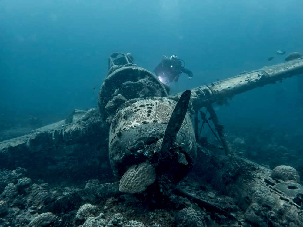 Diving Experience with Micronesia Liveaboard, Dive Resorts