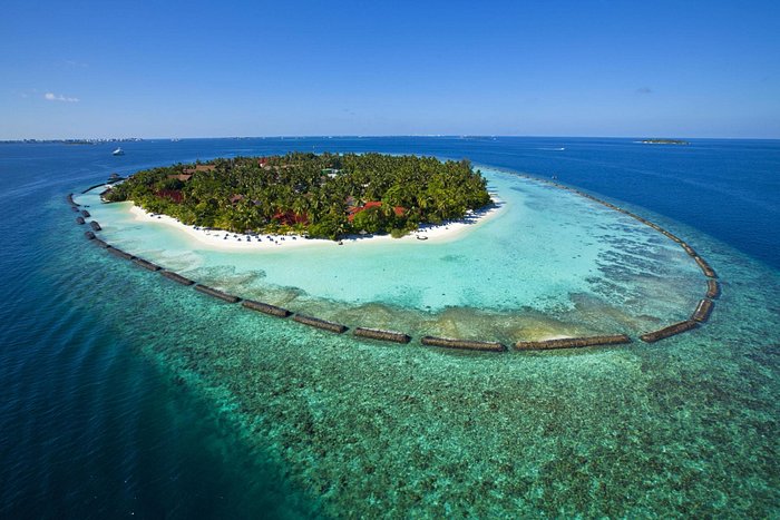 Diving Experience with North Male Atoll Liveaboard, Dive Resorts