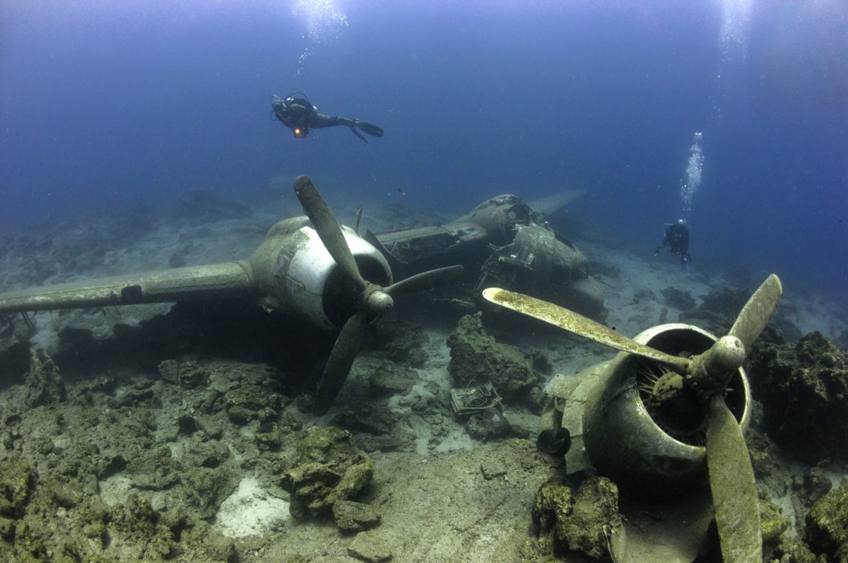 Diving Experience with Solomon Island Liveaboard, Dive Resorts