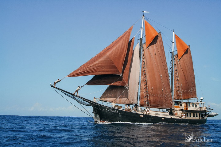Adelaar Liveaboard