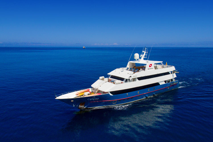 Calipso Liveaboard, Galapagos - Updated 2024 Prices