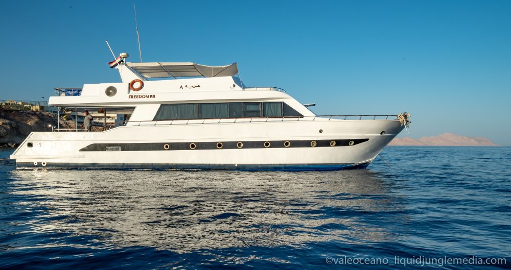 Freedom VIII Liveaboard
