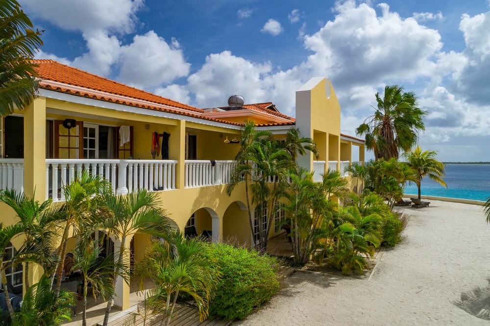 Buddy Dive Resort