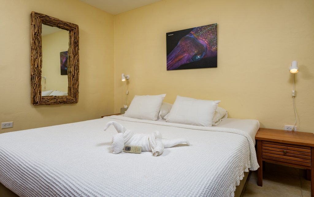 3-Bedroom Apartment